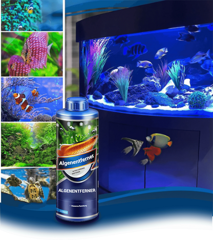 Powerful Aquarium Water Purification Tablet