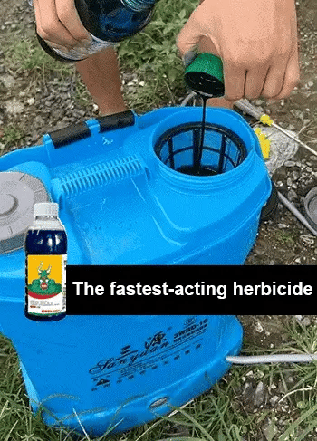 High Concentration Glufosinate Herbicide (Buy 1 Get 1 Free)all type grass