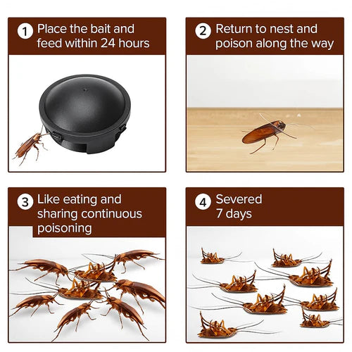 🌿100% Plant Based Japan Combat Roach Killing Bait station 12 Pcs