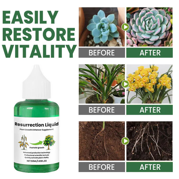 PlantVitaal™ – Revive your plants with Resurrection Liquid! | Buy 1+2 FREE