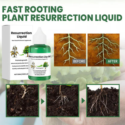 PlantVitaal™ – Revive your plants with Resurrection Liquid! | Buy 1+2 FREE