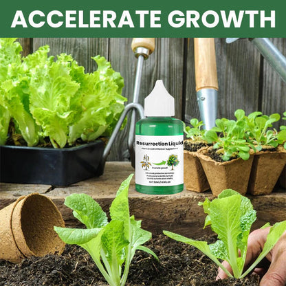 PlantVitaal™ – Revive your plants with Resurrection Liquid! | Buy 1+2 FREE