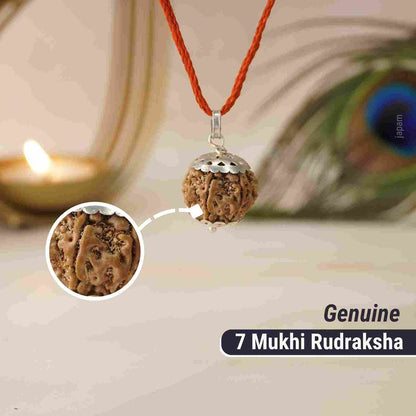 7 Mukhi Rudraksha
